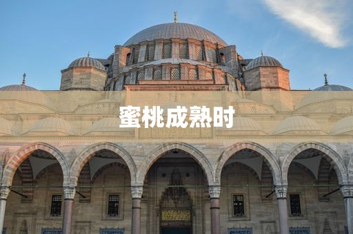 蜜桃成熟时