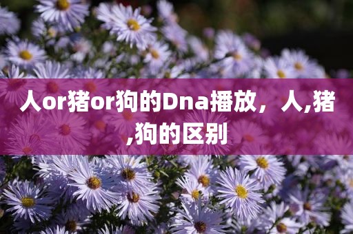 人or猪or狗的Dna播放，人,猪,狗的区别