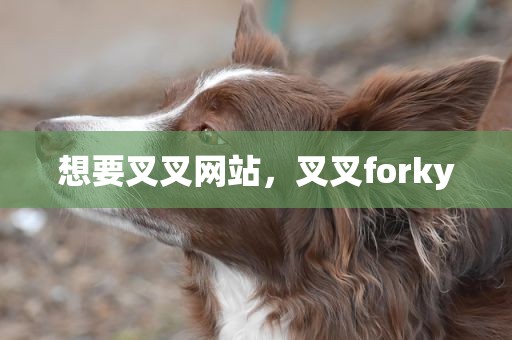 想要叉叉网站，叉叉forky