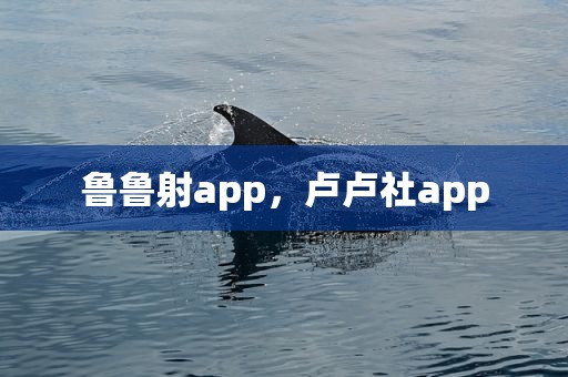 鲁鲁射app，卢卢社app