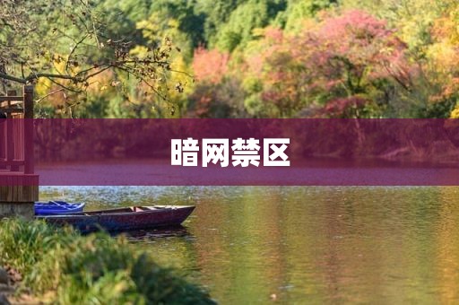 暗网禁区