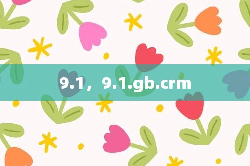 9.1，9.1.gb.crm