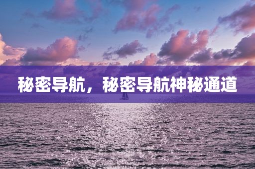 秘密导航，秘密导航神秘通道
