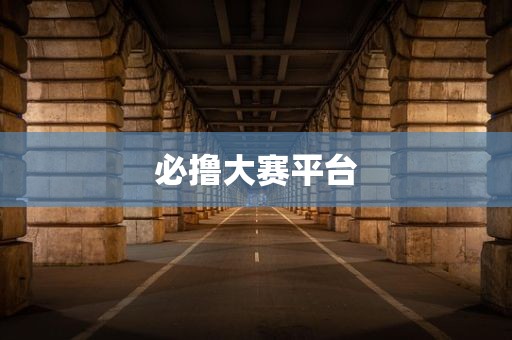 必撸大赛平台