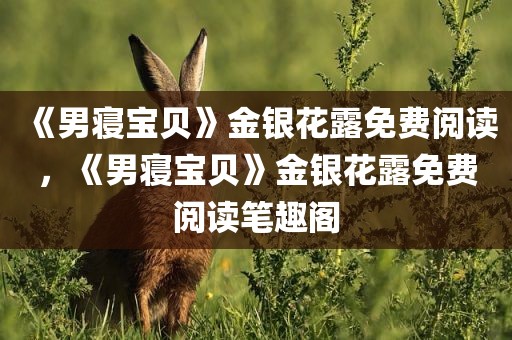 《男寝宝贝》金银花露免费阅读，《男寝宝贝》金银花露免费阅读笔趣阁