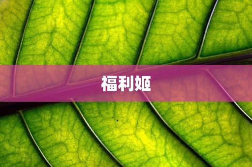 福利姬