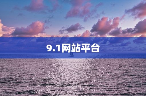 9.1网站平台