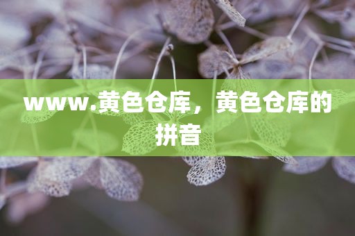 www.黄色仓库，黄色仓库的拼音