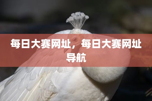 每日大赛网址，每日大赛网址导航