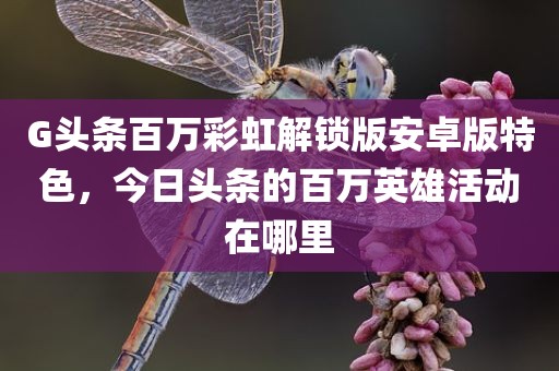 G头条百万彩虹解锁版安卓版特色，今日头条的百万英雄活动在哪里