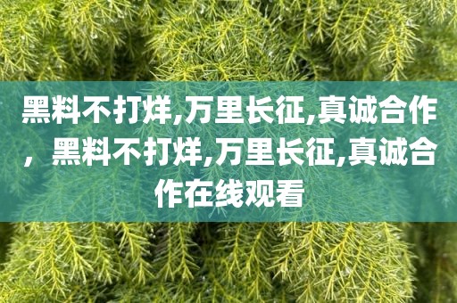 黑料不打烊,万里长征,真诚合作，黑料不打烊,万里长征,真诚合作在线观看