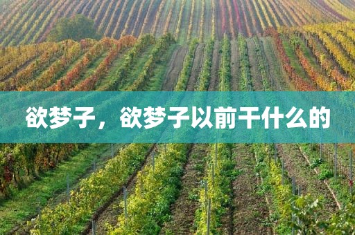 欲梦子，欲梦子以前干什么的
