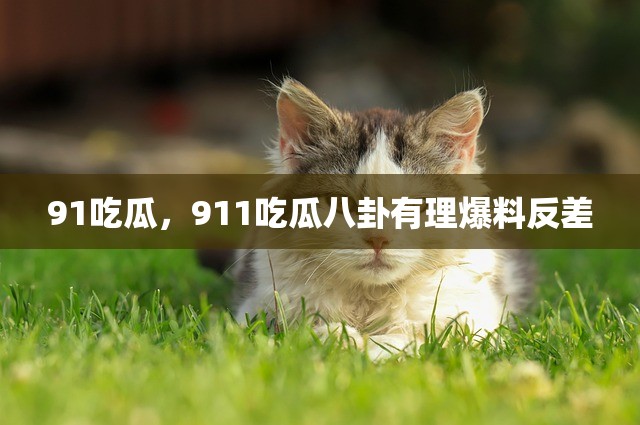 91吃瓜，911吃瓜八卦有理爆料反差