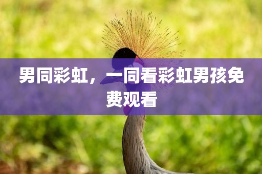 男同彩虹，一同看彩虹男孩免费观看
