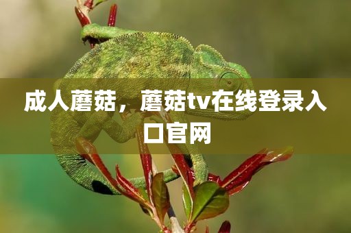 成人蘑菇，蘑菇tv在线登录入口官网
