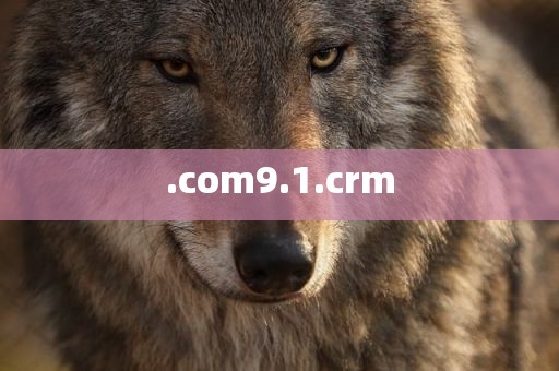 .com9.1.crm