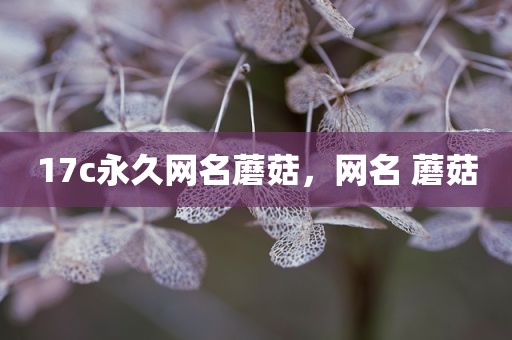 17c永久网名蘑菇，网名 蘑菇