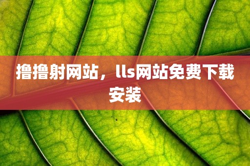 撸撸射网站，lls网站免费下载安装