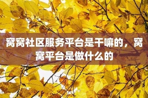 窝窝社区服务平台是干嘛的，窝窝平台是做什么的