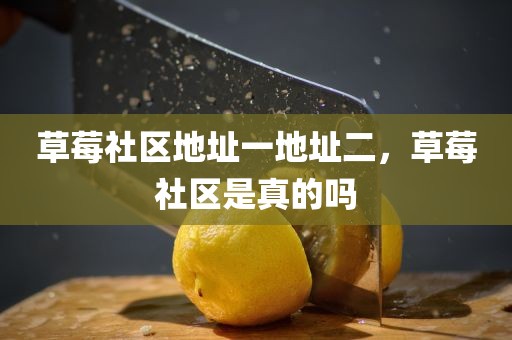 草莓社区地址一地址二，草莓社区是真的吗