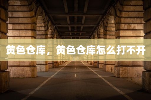 黄色仓库，黄色仓库怎么打不开