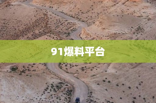 91爆料平台