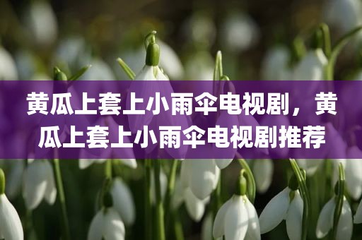黄瓜上套上小雨伞电视剧，黄瓜上套上小雨伞电视剧推荐