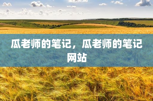 瓜老师的笔记，瓜老师的笔记网站