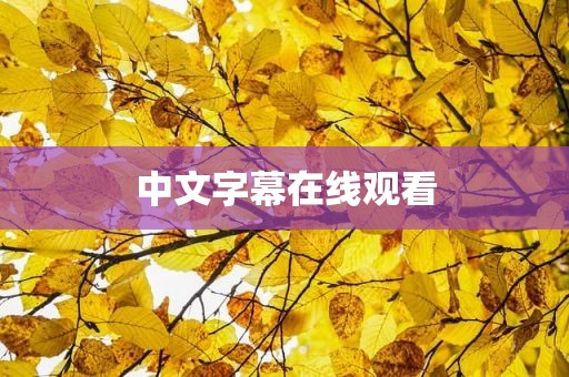 中文字幕在线观看