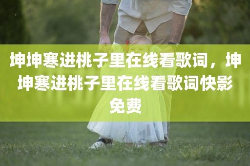 坤坤寒进桃子里在线看歌词，坤坤寒进桃子里在线看歌词快影免费