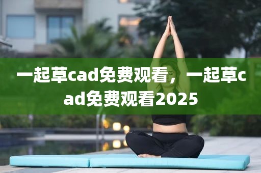 一起草cad免费观看，一起草cad免费观看2025