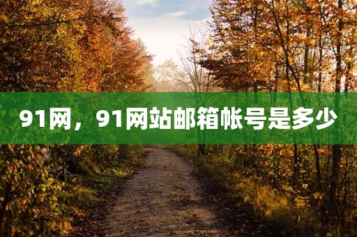 91网，91网站邮箱帐号是多少