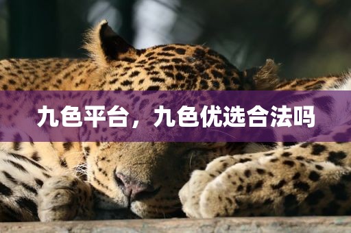 九色平台，九色优选合法吗