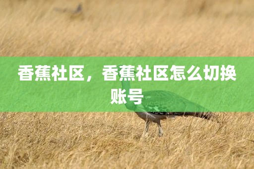 香蕉社区，香蕉社区怎么切换账号