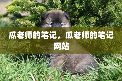 瓜老师的笔记，瓜老师的笔记网站