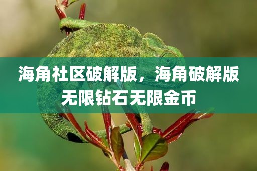 海角社区破解版，海角破解版无限钻石无限金币