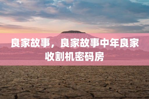 良家故事，良家故事中年良家收割机密码房