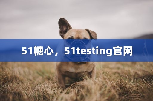 51糖心，51testing官网