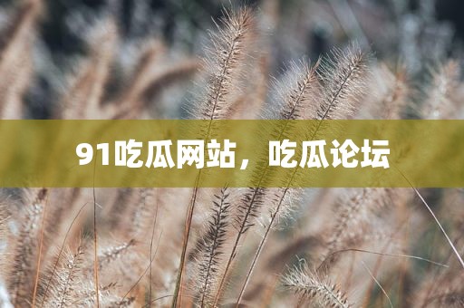91吃瓜网站，吃瓜论坛
