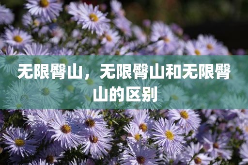 无限臀山，无限臀山和无限臀山的区别