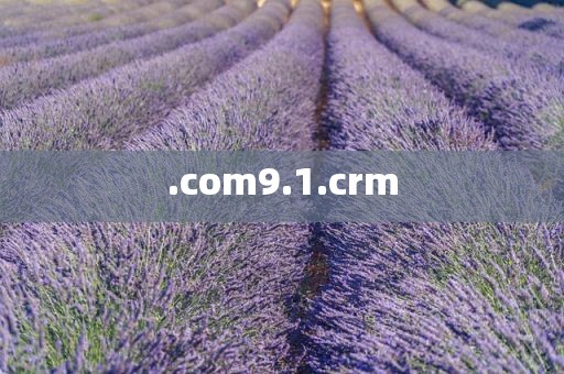 .com9.1.crm