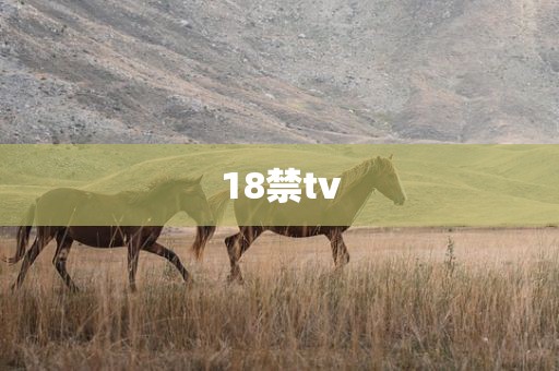 18禁tv