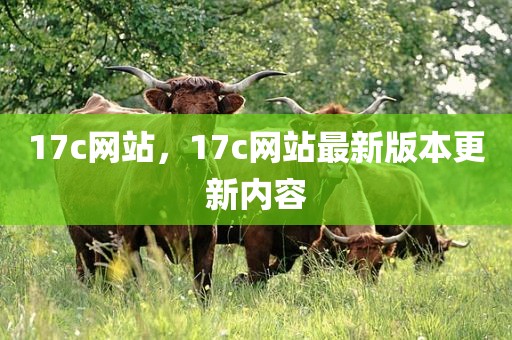 17c网站，17c网站最新版本更新内容