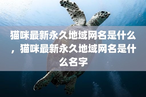 猫咪最新永久地域网名是什么，猫咪最新永久地域网名是什么名字