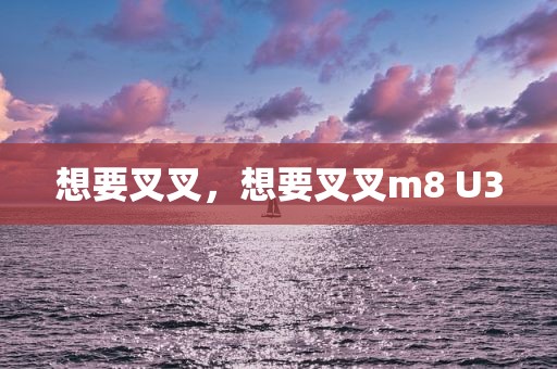 想要叉叉，想要叉叉m8 U3