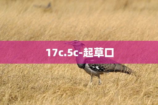 17c.5c-起草口
