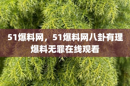 51爆料网，51爆料网八卦有理爆料无罪在线观看