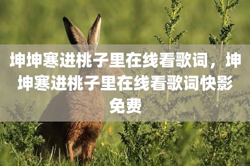 坤坤寒进桃子里在线看歌词，坤坤寒进桃子里在线看歌词快影免费