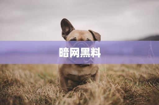 暗网黑料