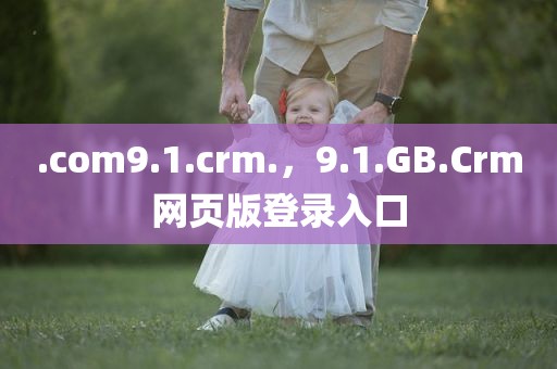 .com9.1.crm.，9.1.GB.Crm网页版登录入口